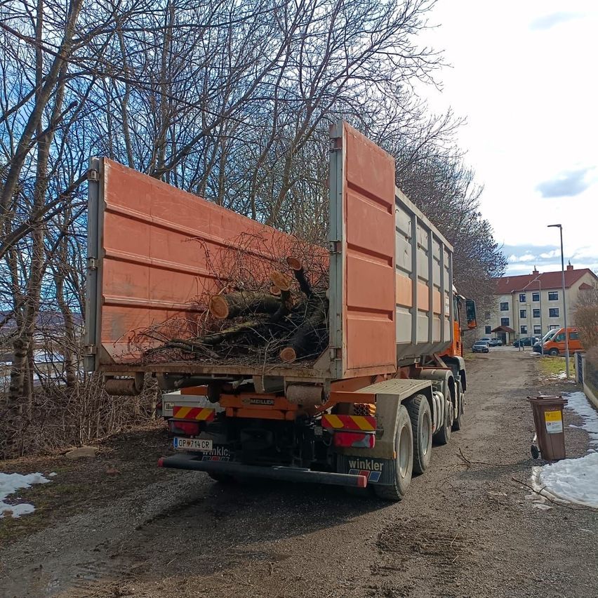 Ein großer oranger Lkw mit offener Ladefläche, beladen mit geschnittenen Baumstämmen, geparkt auf einer Schotterstraße mit Gebäuden und einem Auto im Hintergrund.