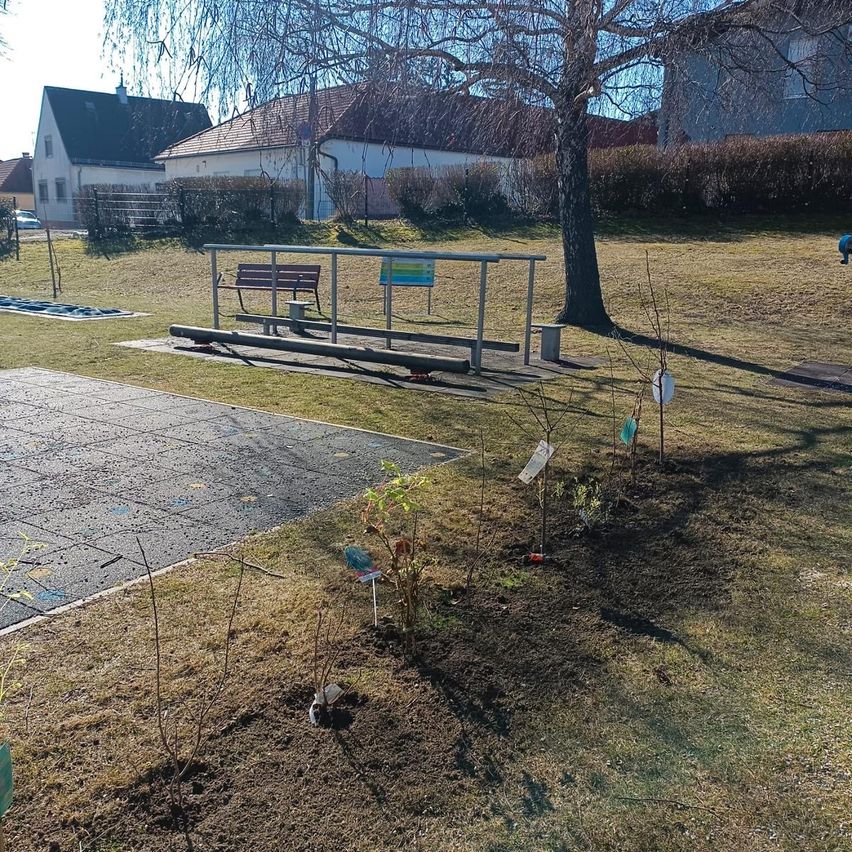 An outdoor area with a bench and a tree, there are plants planted in the soil, and the shadows of the trees are cast on the ground.