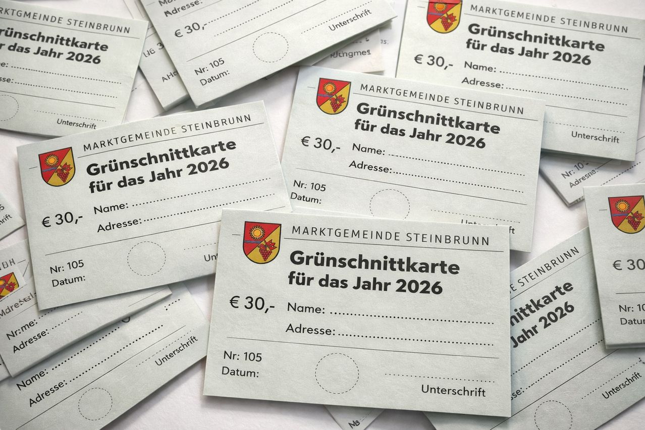 Mehrere Grundsteuerkarten für das Jahr 2026 sind ausgestellt, jede mit einer anderen Seriennummer und einem leeren Formular für persönliche Informationen. Die Karten tragen das städtische Wappen von Steinbrunn.