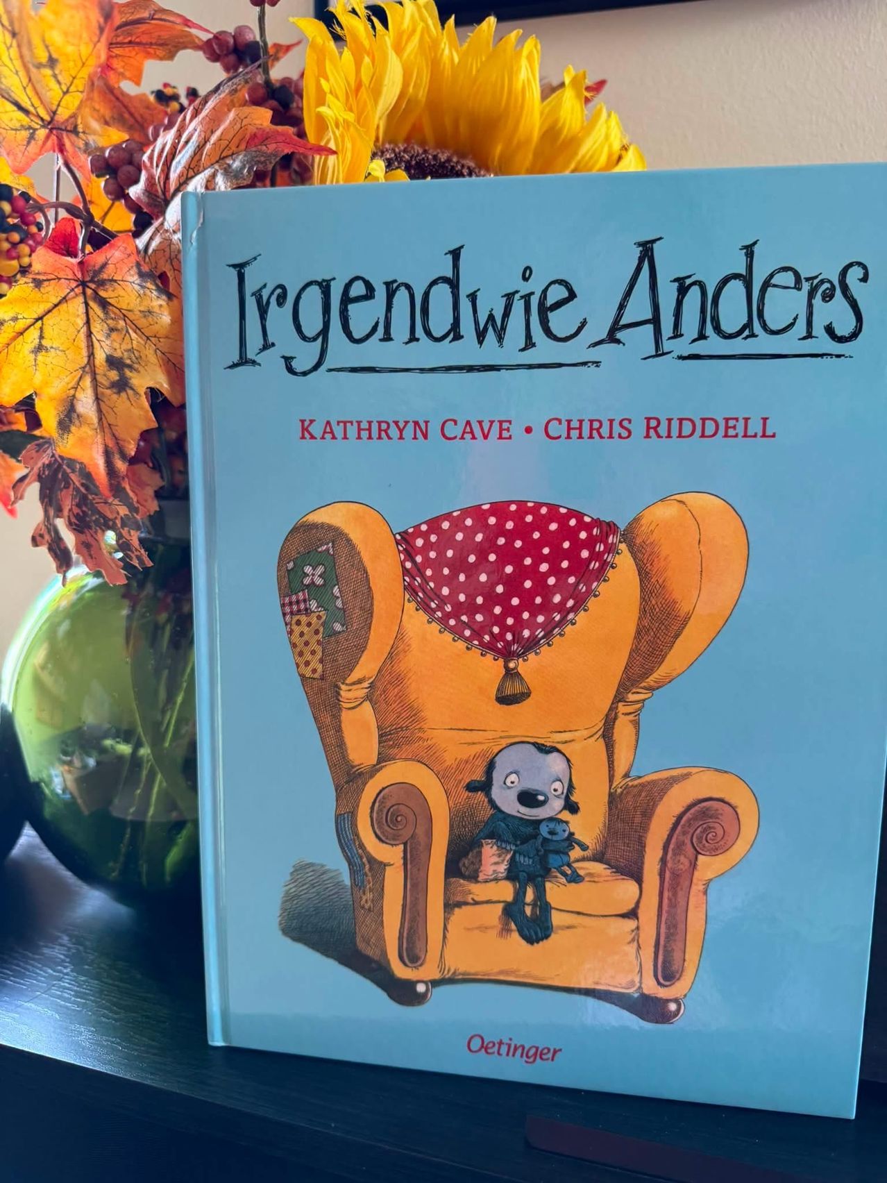A book titled 'Irgendewie Anders' by Kathryn Cave and Chris Riddell. The cover features a cartoon character sitting in a chair with a red polka-dot blanket.