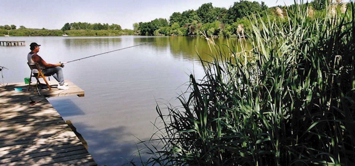 Eine Person fischen auf einem See von einem hölzernen Steg, umgeben von hohen Gras und Bäumen.