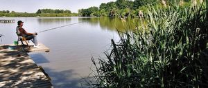 Eine Person fischen auf einem See von einem hölzernen Steg, umgeben von hohen Gras und Bäumen.