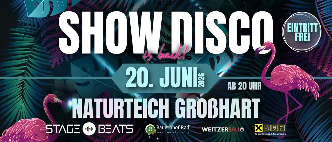 Plakat mit der Ankündigung, dass How Disco zurück ist, zeigt das Datum 20. Juni 2026, den Ort Naturteich Grobhan und Sponsoren Beats, Bauernhof Radl und WeitzerBau.