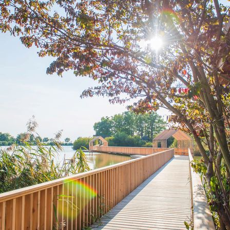 Ein hölzerner Weg führt zu einem See, umgeben von üppiger Vegetation und kleinen Strukturen. Die Sonne scheint hell und erzeugt einen Regenbogeneffekt.