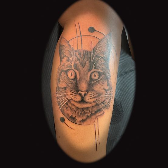 Ein Nahaufnahme des Armes einer Person zeigt ein detailliertes Tattoo des Gesichts einer Katze. Die Augen der Katze sind weit geöffnet, und die Whisker sind scharf definiert. Der Hintergrund ist dunkel und betont die Sichtbarkeit des Tattoos.