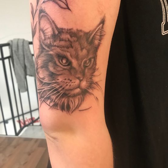 Ein Nahaufnahme eines Katzentattoos am Arm einer Person, mit detaillierten Schnurrhaaren und Blättern darum herum. Das Gesicht der Katze ist in Grau schattiert.