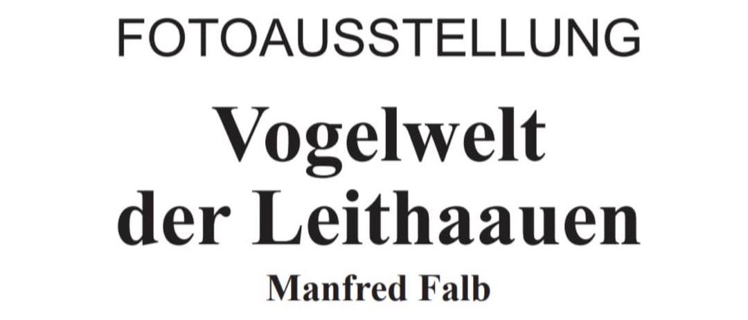 Ein Plakat für eine Ausstellung mit dem Titel 'Vogelwelt der Leithauen' von Manfred Falb, das einen Vogel auf Gras zeigt. Ausstellungseröffnung am Freitag, 2. Mai 2025 um 19:00 Uhr. Öffnungszeiten am Samstag, 3. Mai 2025 von 14:00 bis 17:00 Uhr, mit einem Vortrag von Harald Schau um 19:00 Uhr. Eintritt 8 Euro.