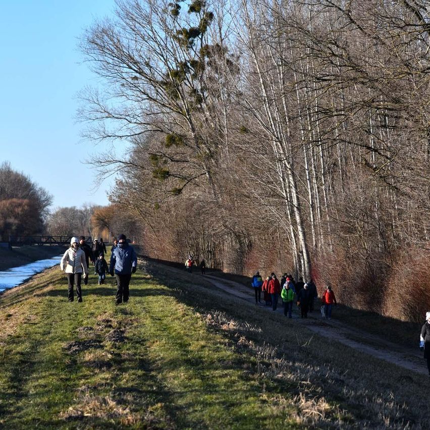 Eine Gruppe von Menschen läuft auf einem grasigen Pfad neben einem Fluss. Sie sind von Bäumen umgeben und tragen Winterkleidung.