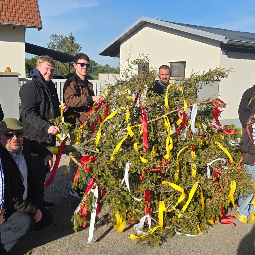 Fünf Männer schmücken einen Baum mit bunten Bändern vor einem Gebäude an einem sonnigen Tag.
