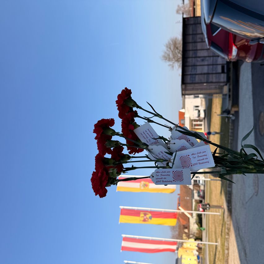 Ein Strauß roter Nelken mit Etiketten und spanischen Flaggen im Hintergrund. Der Himmel ist klar und blau.