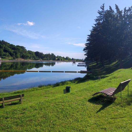 Eine friedliche Landschaft mit einem ruhigen See, umgeben von üppigem Grün und Bäumen. Zwei Bänke stehen in der Nähe des grasbewachsenen Ufers.