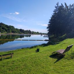 Eine friedliche Landschaft mit einem ruhigen See, umgeben von üppigem Grün und Bäumen. Zwei Bänke stehen in der Nähe des grasbewachsenen Ufers.