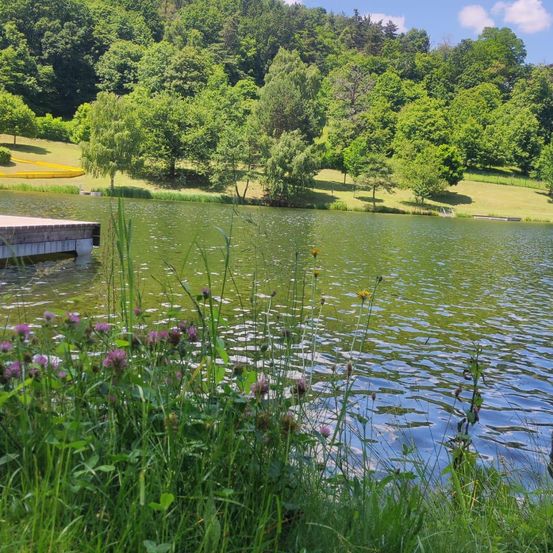 Ein ruhiger See mit üppigem Grün, einem Steg und einer kleinen Wasserrutsche am Hang. Das Wasser ist ruhig und reflektiert den Himmel und die Bäume.