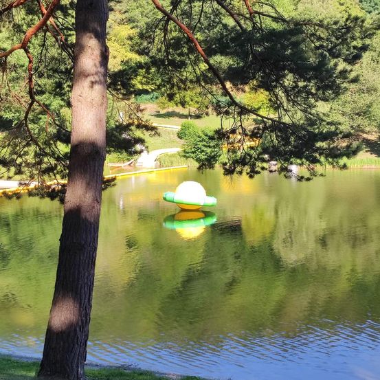 Ein ruhiger See mit einem Baumstamm auf der linken Seite, einem schwimmenden gelben und grünen Ball und einer Reflexion auf dem Wasser.