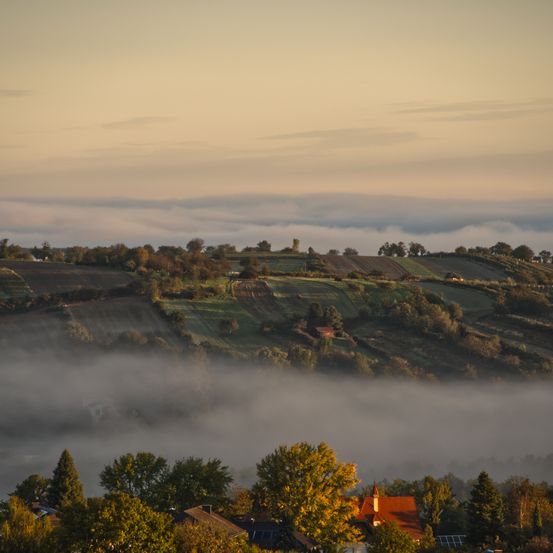 Eine friedliche Landschaft mit sanften Hügeln und Feldern, die von Morgennebel bedeckt sind, mit einem Haus mit rotem Dach im Vordergrund.