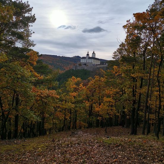 Eine Burg auf einem Hügel ist von einem dichten Wald umgeben. Die Bäume sind eine Mischung aus grünen und orangefarbenen Blättern. Der Himmel ist teilweise bewölkt.