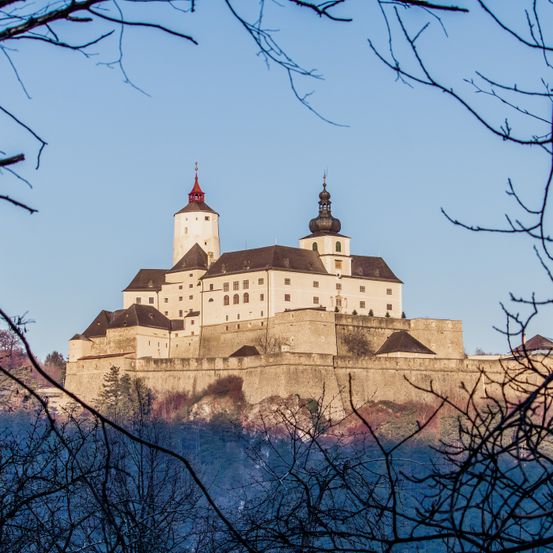 Eine mittelalterliche Burg mit zwei Türmen steht auf einem Hügel, umgeben von Bäumen unter einem klaren blauen Himmel.