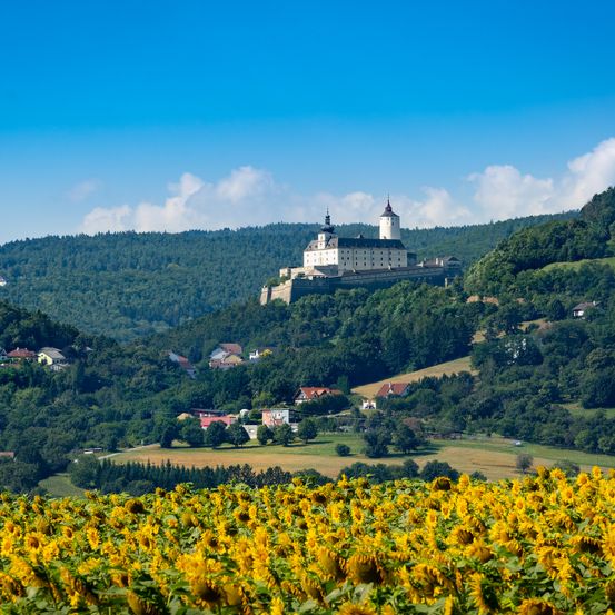 Eine malerische Landschaft mit einer Burg auf einem Hügel über einem Sonnenblumenfeld unter einem blauen Himmel mit Wolken.