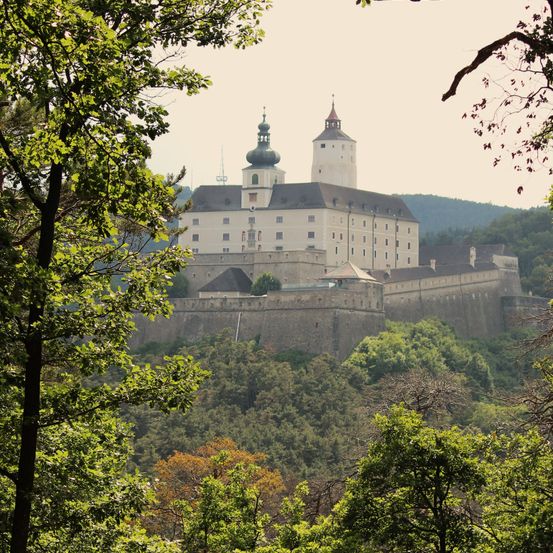 Eine Burg steht auf einem bewaldeten Hügel, mit zwei hohen Türmen und einem großen, mehrstöckigen Gebäude. Die Burg hat ein graues Dach und ist von Bäumen umgeben.