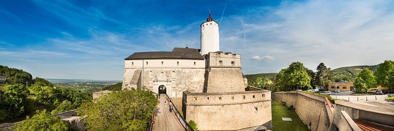 Eine historische Burg mit einem hohen weißen Turm steht auf einem Hügel, umgeben von üppigem Grün, unter einem klaren blauen Himmel.