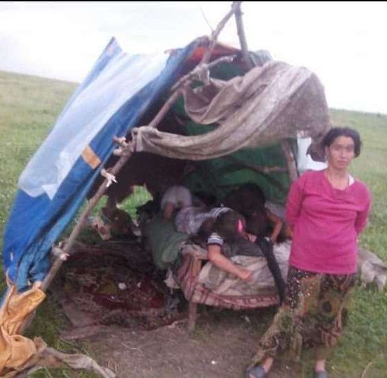 Eine Frau in einem rosa Shirt steht neben einer behelfsmäßigen Unterkunft auf einem Grasfeld. Im Inneren liegen mehrere Menschen auf einer Matratze. Die Unterkunft besteht aus Holz und blauer Plane.