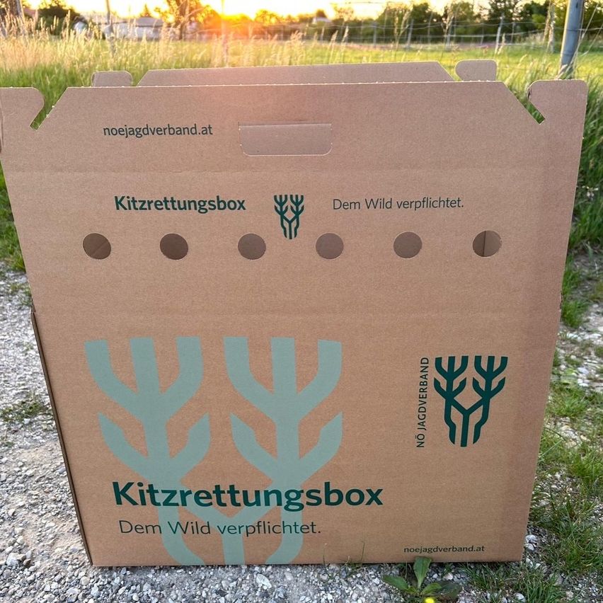 Eine braune Pappschachtel mit den Worten 'Kitzzrettungsbox' und 'Dem Wild verpflichtet' steht auf Kies. Sie hat Löcher und ein Baumsymbol.