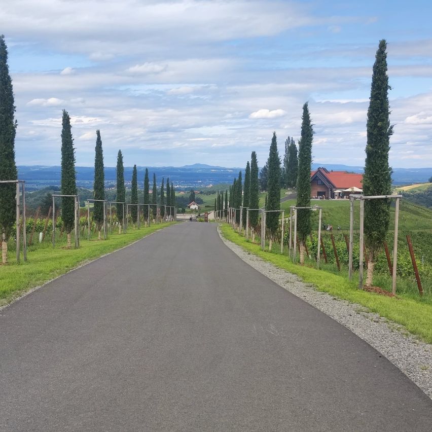 Eine lange Straße, gesäumt von hohen Bäumen und Blick auf ein Haus und Berge in der Ferne unter einem teilweise bewölkten Himmel.