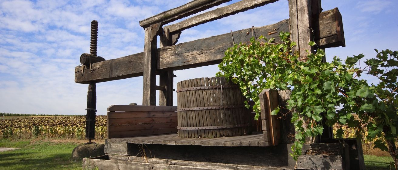 Eine alte Holzpresse in einem Feld mit einem Holzfass, Weinranken und blauem Himmel.
