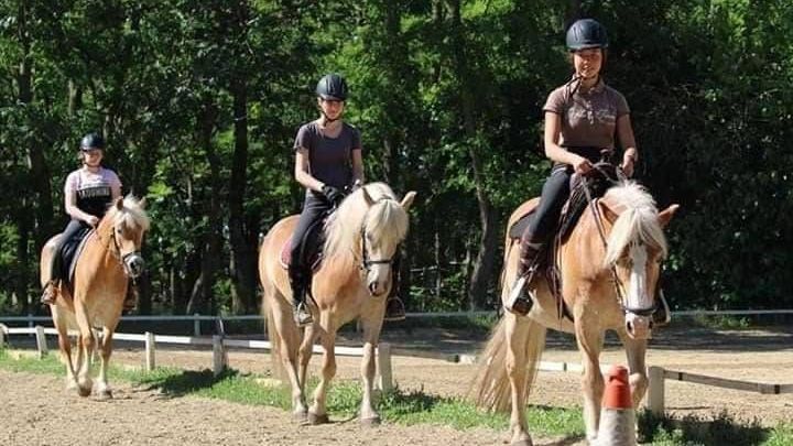 v1_migrated_image_18382105