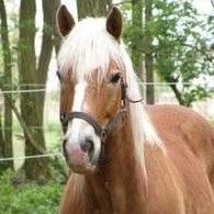 v1_migrated_image_91843632