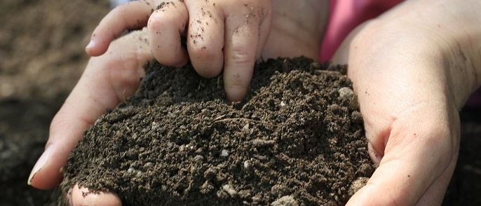 Zwei Hände halten Erde, eine gehört einem Kind mit Schmutz an den Fingern.