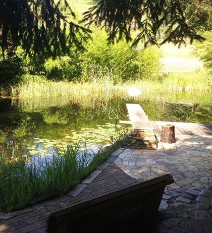 Ein ruhiger Teich mit Seerosen liegt unter einem Baumdach. Eine Holzbank und ein Steinweg laden zur Entspannung ein.