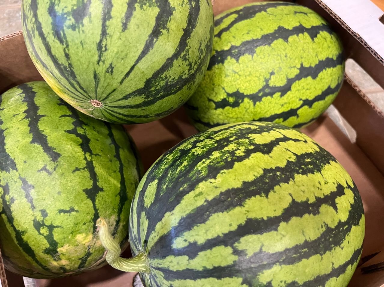 Vier Wassermelonen mit grüner Schale und schwarzen Streifen sind übereinander gestapelt. Die Wassermelonen haben eine leicht raue Textur.