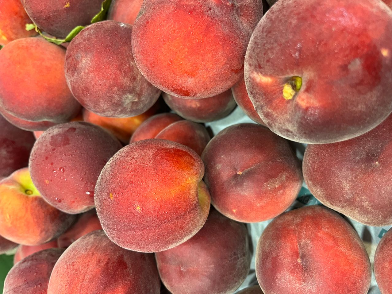 A close-up view of ripe, juicy peaches with a slight frost on their surface, arranged in a neat pile.