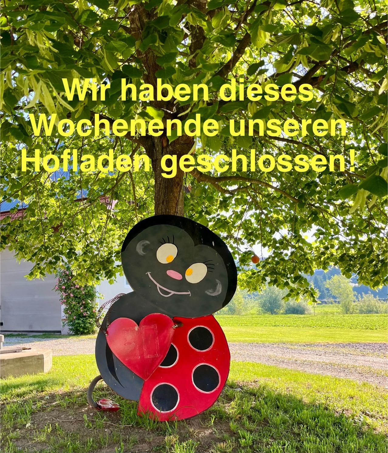A ladybug figure with a red heart on its body hangs from a tree, with a house and a green field visible in the background.