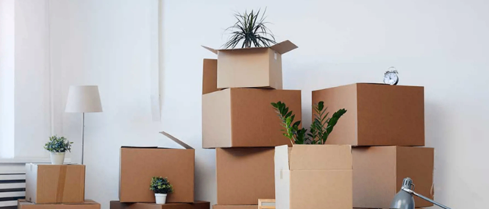 Bild enthält, Box, Cardboard, Carton, Package, Package Delivery, Person