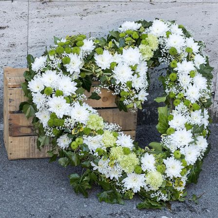 Bild enthält, Symbol, Flower, Plant