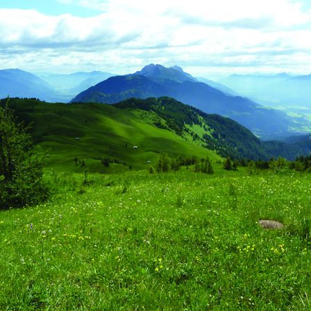 Ein Blick auf eine Berglandschaft mit einem grasbewachsenen Hügel im Vordergrund, verstreuten Bäumen und einem klaren blauen Himmel mit Wolken.