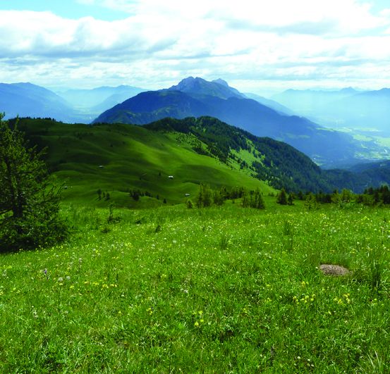 Ein Blick auf eine Berglandschaft mit einem grasbewachsenen Hügel im Vordergrund, verstreuten Bäumen und einem klaren blauen Himmel mit Wolken.