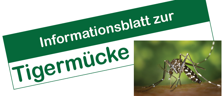 Ein Informationsblatt über die Tigermücke wird mit einem Bild einer Mücke auf einem Blatt gezeigt. Der Text ist auf Deutsch.