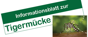 Ein Informationsblatt über die Tigermücke wird mit einem Bild einer Mücke auf einem Blatt gezeigt. Der Text ist auf Deutsch.