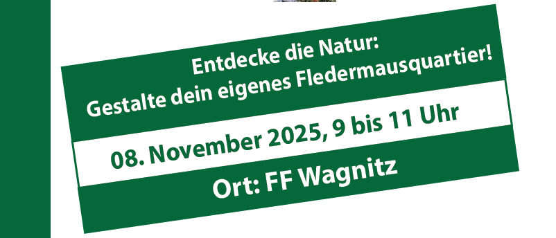 Werbeplakat für einen Workshop über Fledermäuse. Es geht um die Bedeutung von Fledermäusen für unser Ökosystem. Ein selbstgebautes Fledermausquartier wird hergestellt. Die Veranstaltung findet am 8. November 2025 statt.