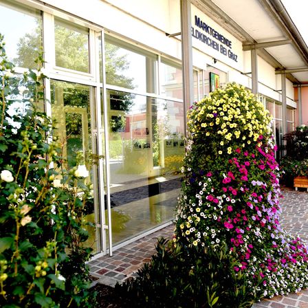 Bild enthält, Garden, Nature, Outdoors, Path, Door, Walkway, Potted Plant, Flower, Building, City