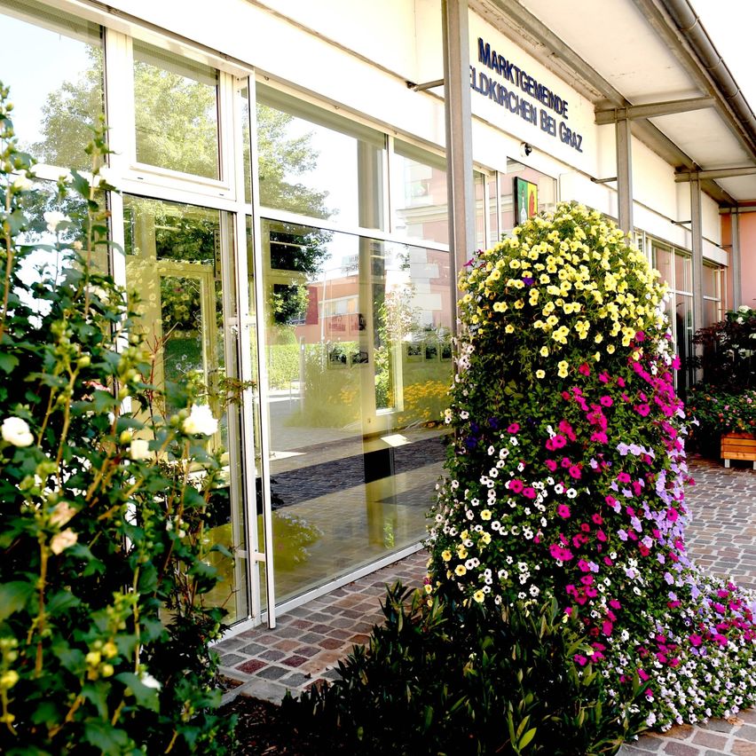 Bild enthält, Garden, Nature, Outdoors, Path, Door, Walkway, Potted Plant, Flower, Building, City
