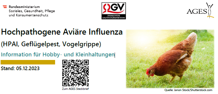 Ein Flyer ueber hochpathogene aviäre Influenza (HPAI) fuer Hobby- und Kleinhalter von Gefluegel. Es zeigt ein Huhn auf einer Wiese und beinhaltet einen QR-Code. Datum: 05.12.2023.