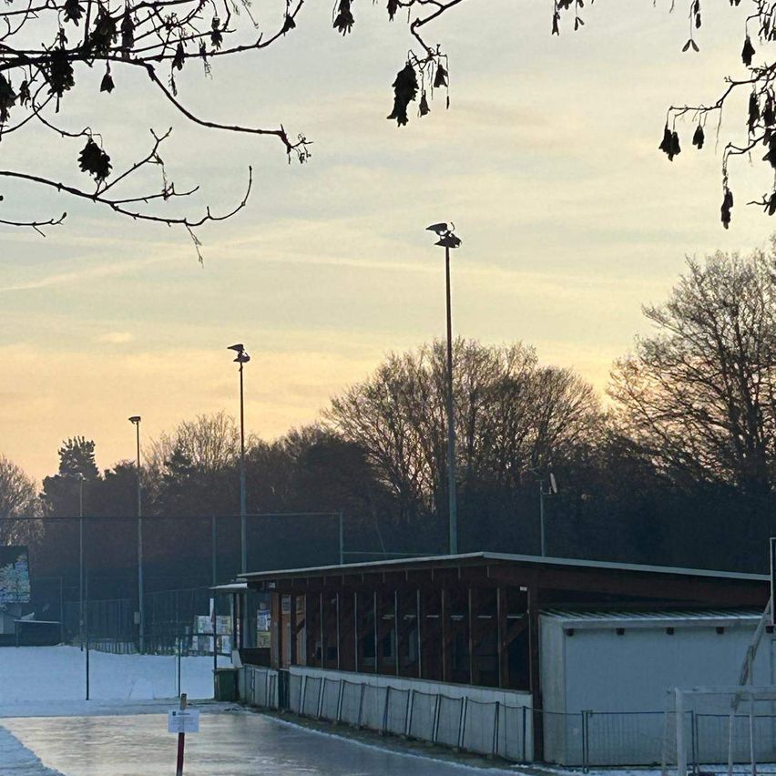 Eine verschneite Landschaft mit einem Gebäude, Bäumen und Straßenlaternen. Der Himmel ist klar und blau, mit einigen Wolken sichtbar. Das Gebäude hat ein Metalldach und Glasfenster.