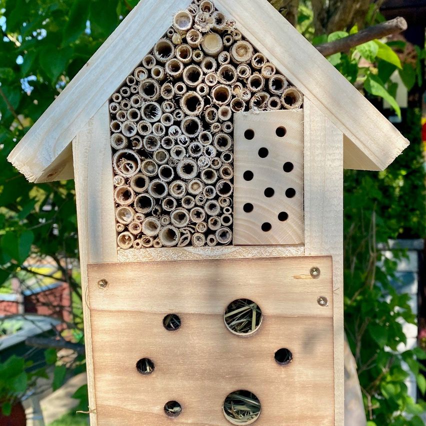 Ein hölzerne Insektenhotel mit mehreren Löchern und Röhren, wahrscheinlich zur Unterbringung nützlicher Insekten in einem Garten.