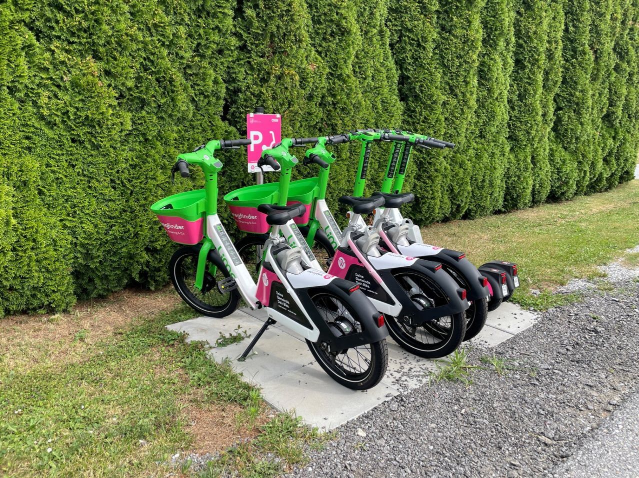 Vier grüne und rosafarbene Elektrofahrräder sind in einer Reihe geparkt, hinter ihnen befindet sich ein rosa Schild.