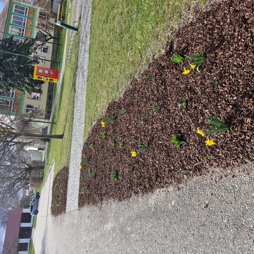 Eine Draufsicht eines Parks mit Mulch und einigen gelben Blumen. Ein rotes und gelbes Gebäude und ein Spielplatz sind im Hintergrund.