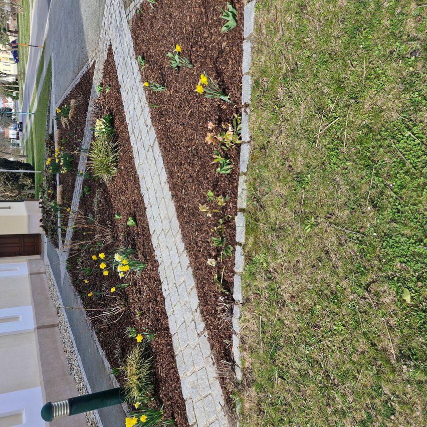 Eine Draufsicht auf einen Garten mit gelben Blumen und brauner Mulchschicht am Straßenrand.